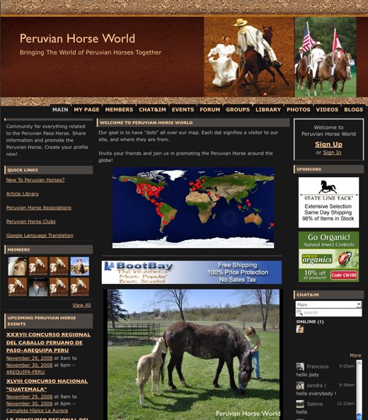 november 2008 ningu002639s official blog on social networking sites horse world 520x593