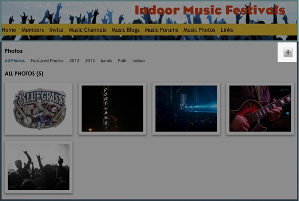 All Photos - Photos - Indoor Music Festivals